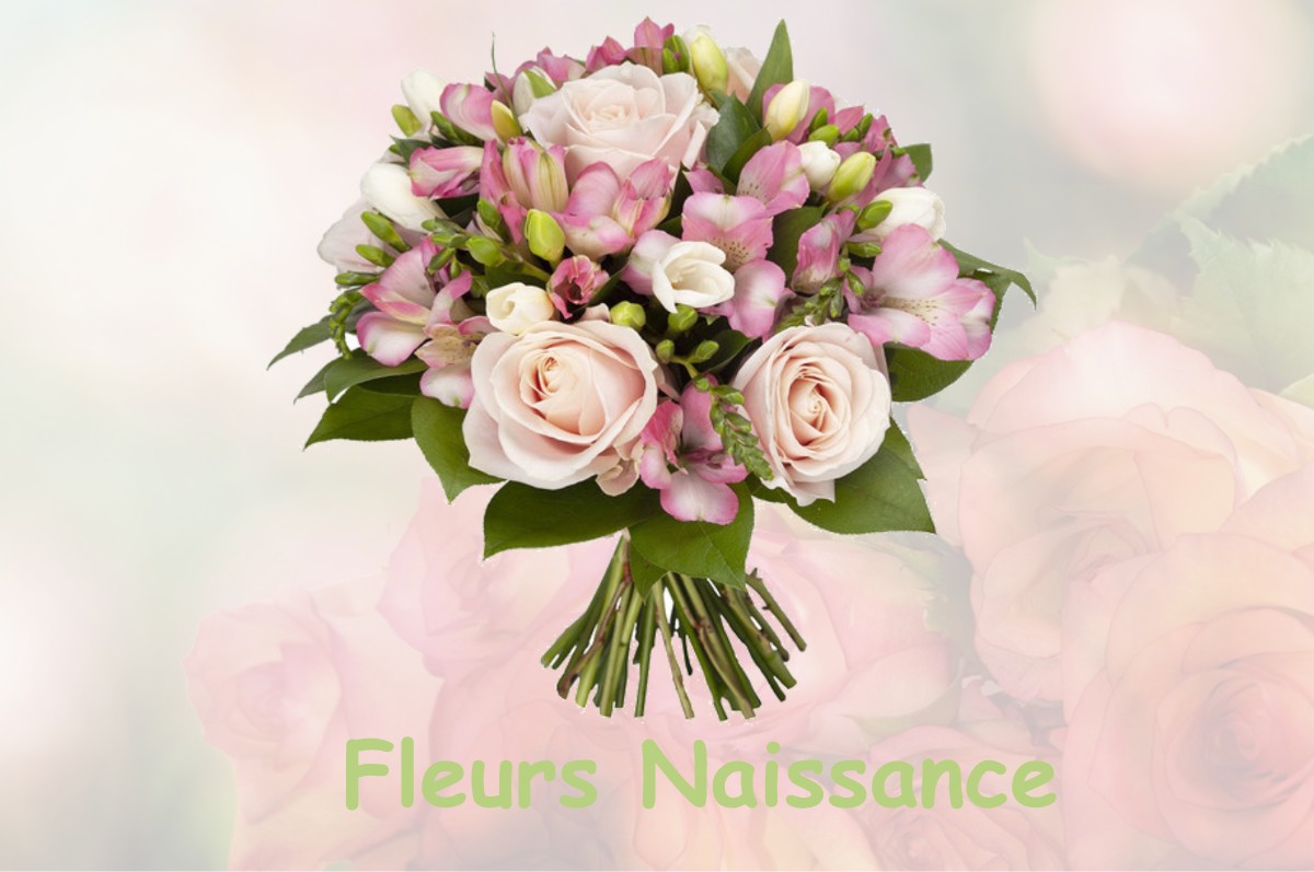 fleurs naissance SAINT-ETIENNE-DE-CUINES