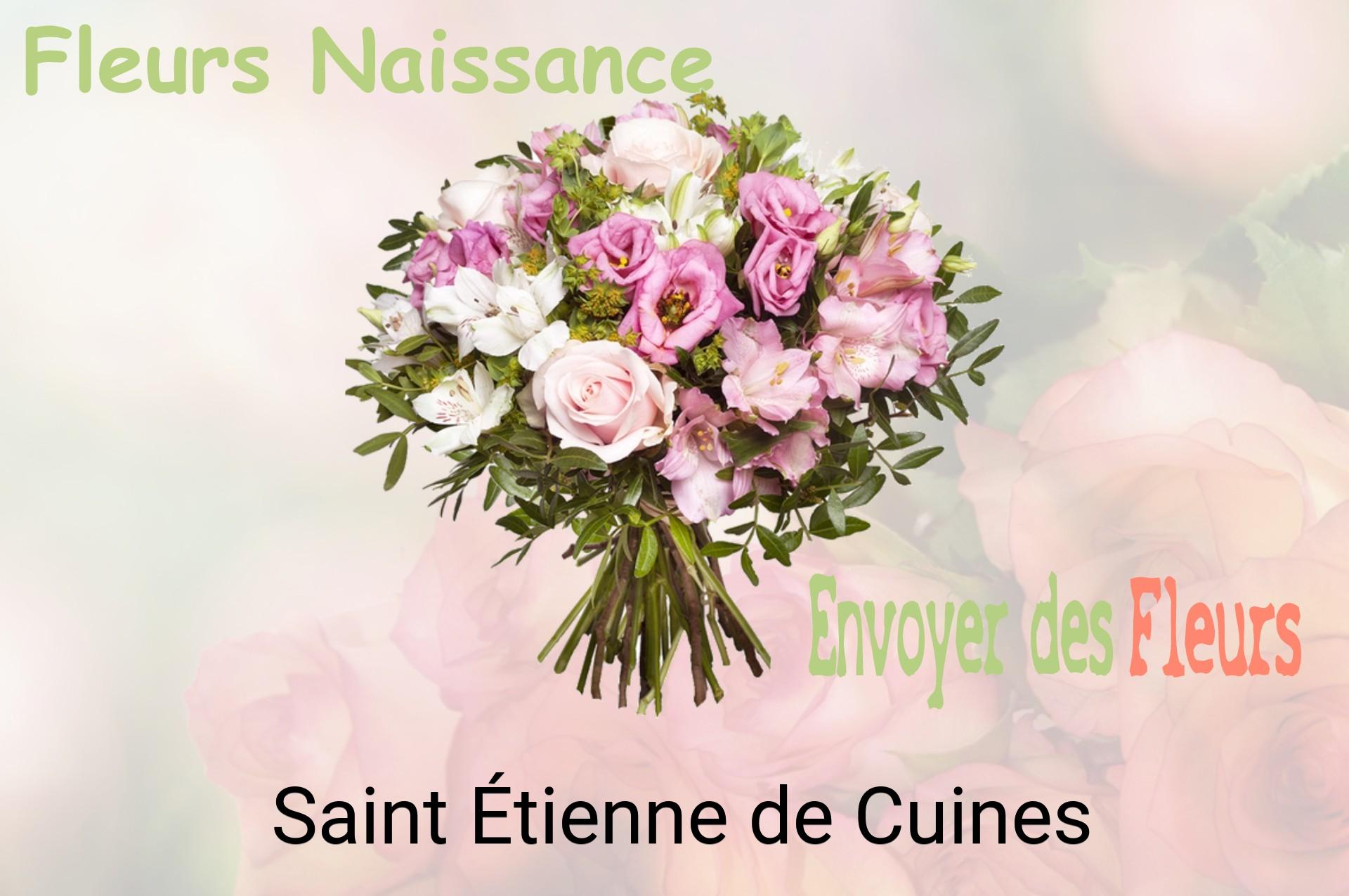 Bouquet de fleurs de naissance livré à Saint-Étienne-de-Cuines